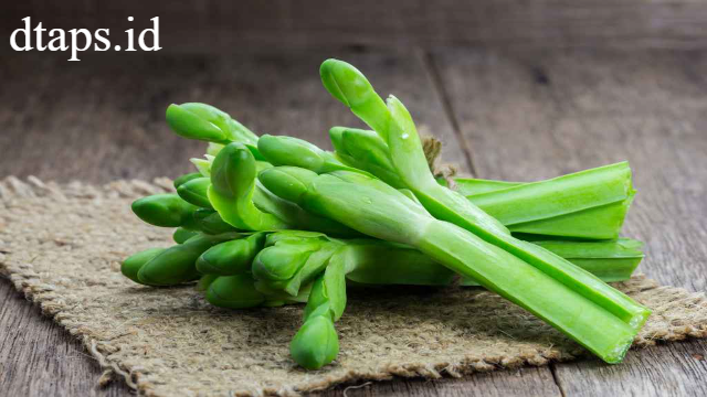 7 Manfaat Genjer untuk Kesehatan Tubuh