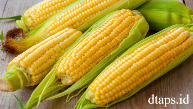 8 Manfaat Jagung untuk Kesehatan Tubuh